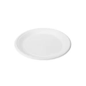 ShyamEco 10 Inch Round Bagasse Disposable Plate