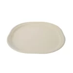 ShyamEco 6 inch Round Biodegradable Bagasse Plate