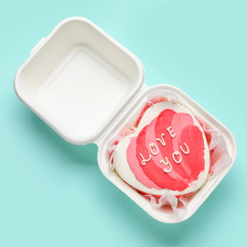 ShyamEco bento cake box, Korean clamshell design, 6x6x3 inches – ideal for cakes, cupcakes, brownies, and desserts.